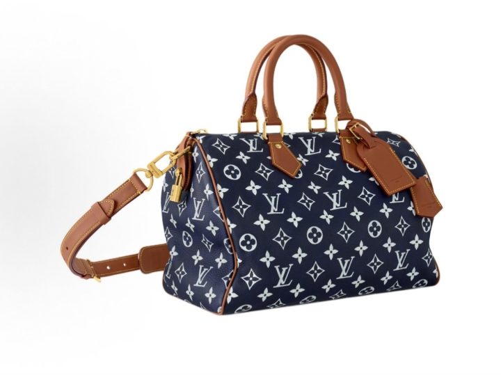 Louis Vuitton Speedy &middot; 3