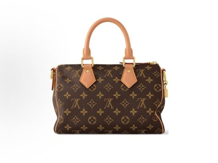 Louis Vuitton Speedy 25 &middot; 4