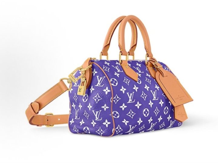 Louis Vuitton Speedy P9 Bandouli&egrave;re 25 紫色皮革手袋 &middot; 2