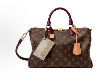 Louis Vuitton Speedy 30 Soft Celebration 老花手袋