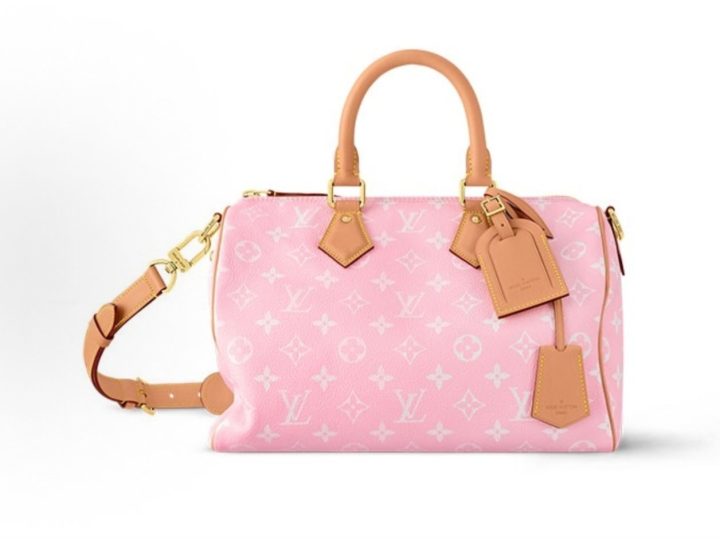 Louis Vuitton Speedy &middot; 1