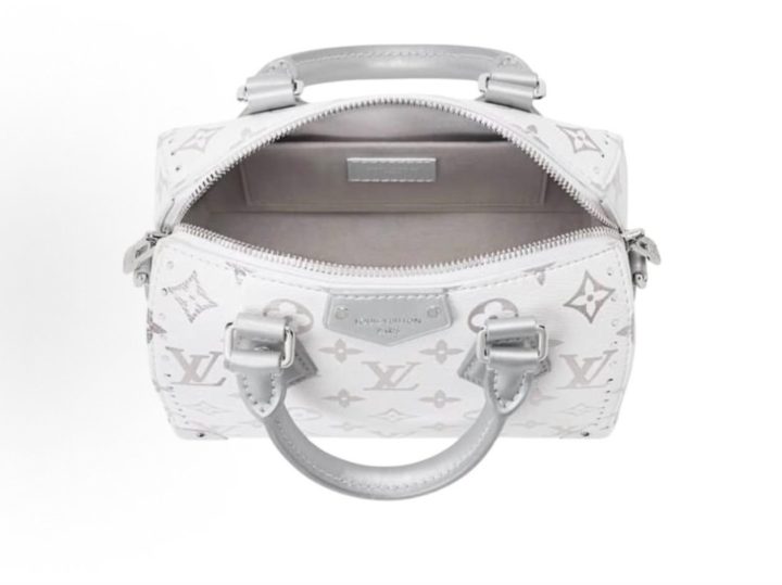 Louis Vuitton Speedy Trunk 20 银白色手袋 &middot; 4