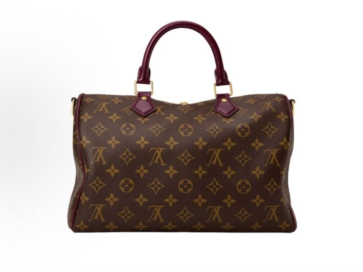 Louis Vuitton Speedy 30 Soft Celebration 老花手袋 &middot; 3