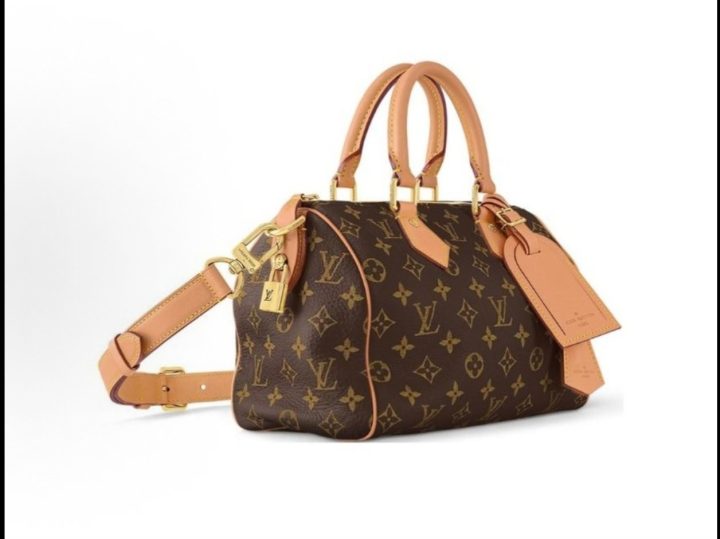 Louis Vuitton Speedy 25 &middot; 3