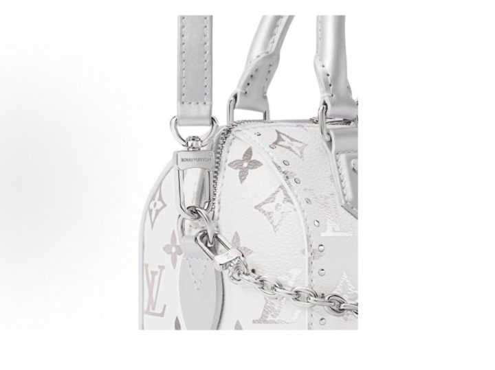 Louis Vuitton Speedy Trunk 20 银白色手袋 &middot; 5