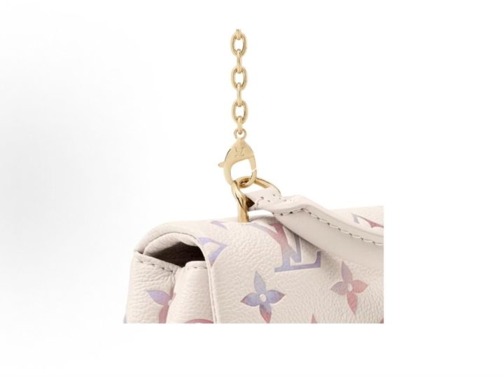 LOUIS VUITTON Nano Madeleine 炫彩 &middot; 5