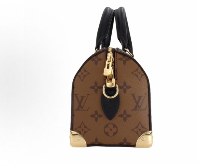 LOUIS VUITTON SpeedyTrunk 20 Cruise2025 早春秀场款 &middot; 3