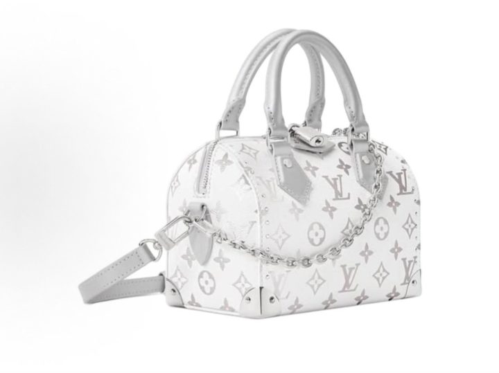 Louis Vuitton Speedy Trunk 20 银白色手袋 &middot; 2