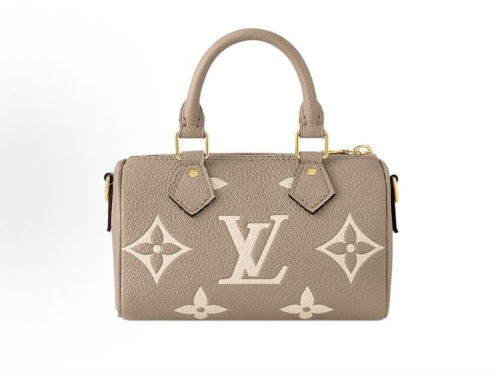 Louis Vuitton Nano Speedy 灰色拼奶油色压纹牛皮迷你包 &middot; 3