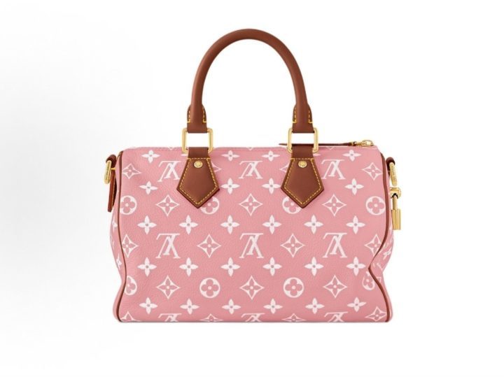 Louis Vuitton Speedy &middot; 3