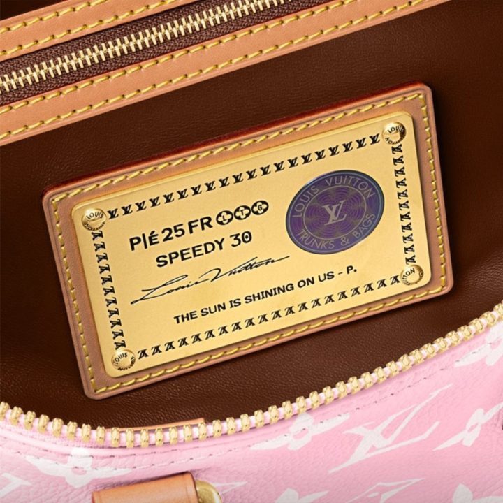 Louis Vuitton Speedy &middot; 6