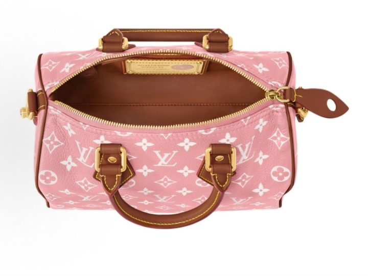 Louis Vuitton Speedy &middot; 4