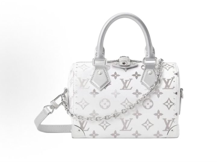 Louis Vuitton Speedy Trunk 20 银白色手袋 &middot; 1