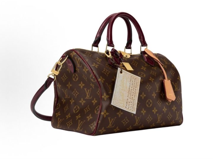 Louis Vuitton Speedy 30 Soft Celebration 老花手袋 &middot; 2