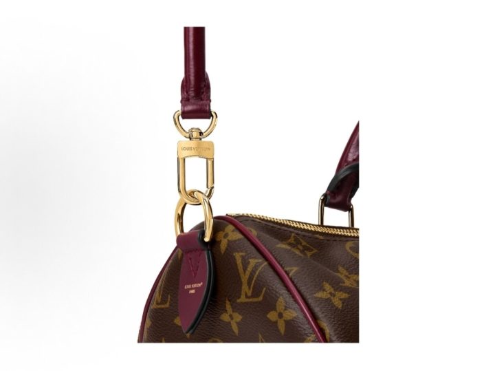 Louis Vuitton Speedy 30 Soft Celebration 老花手袋 &middot; 5