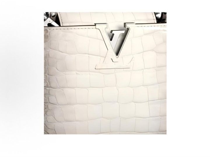Louis Vuitton Capucines Mini 白色特殊皮革手袋 &middot; 2
