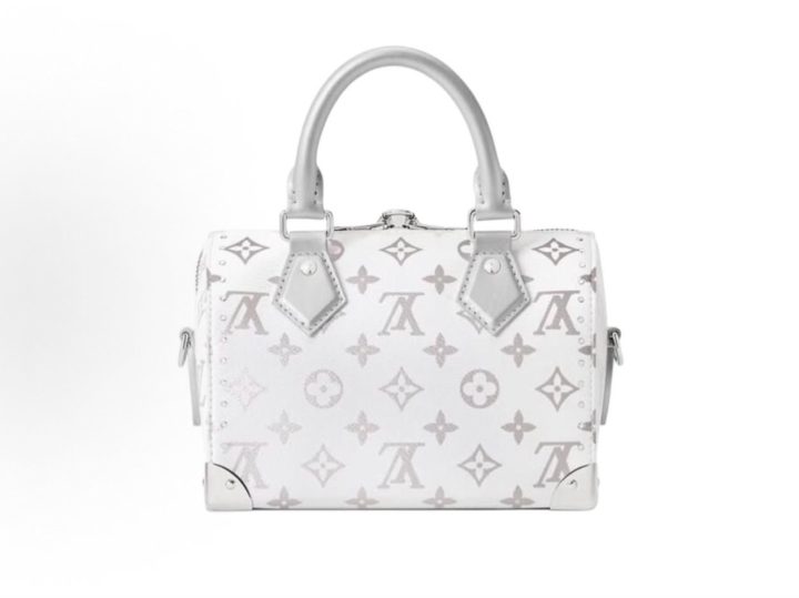 Louis Vuitton Speedy Trunk 20 银白色手袋 &middot; 3