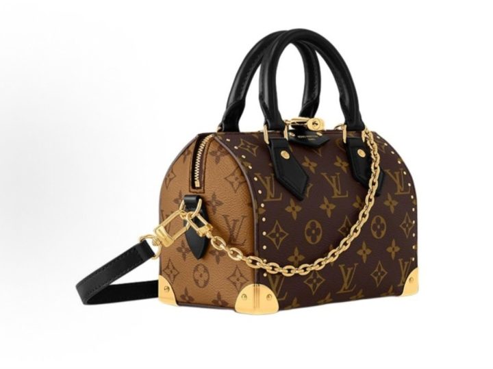 LOUIS VUITTON SpeedyTrunk 20 Cruise2025 早春秀场款 &middot; 2