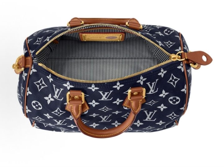Louis Vuitton Speedy &middot; 5