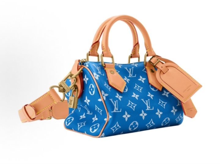 Louis Vuitton Speedy P9 Bandouli&egrave;re 20 蓝色手袋 &middot; 3