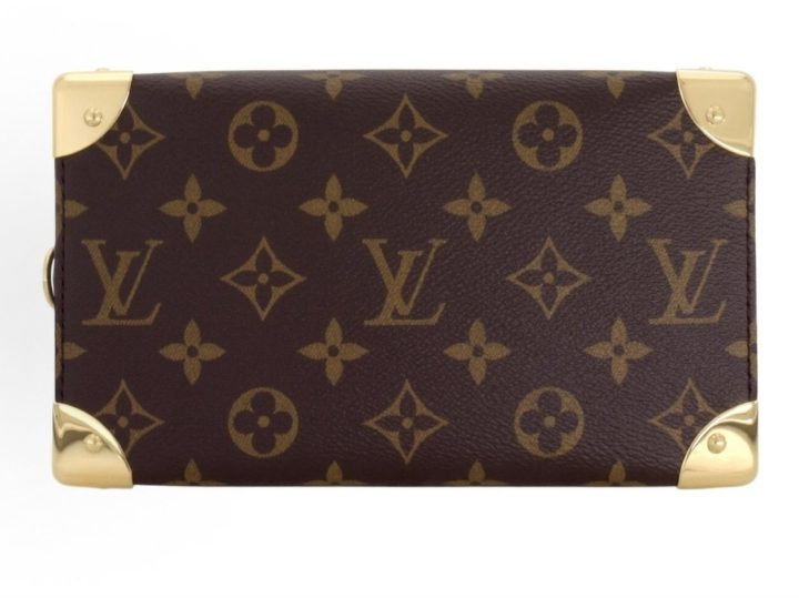 LOUIS VUITTON SpeedyTrunk 20 Cruise2025 早春秀场款 &middot; 6