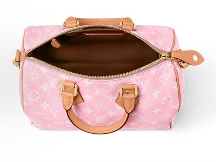 Louis Vuitton Speedy &middot; 5