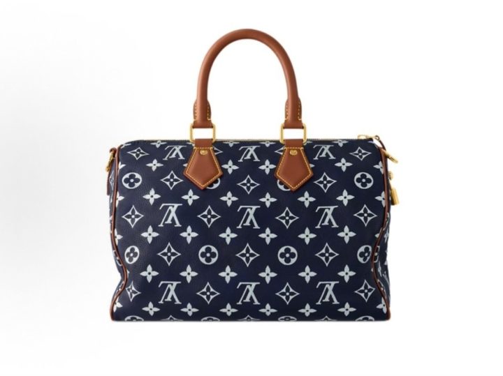 Louis Vuitton Speedy &middot; 4