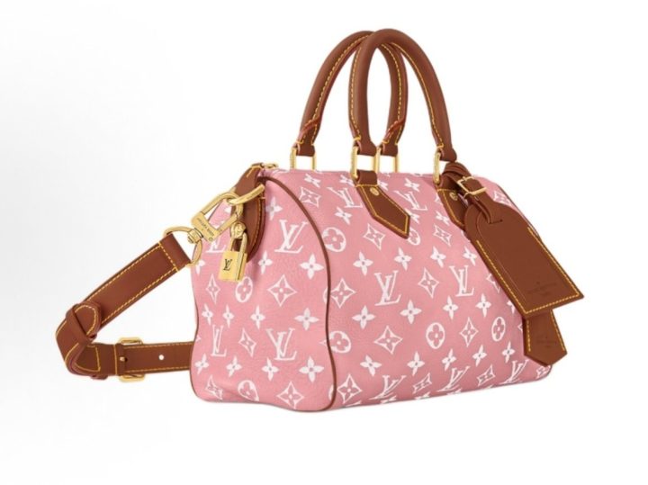 Louis Vuitton Speedy &middot; 2