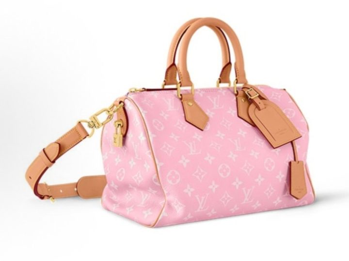 Louis Vuitton Speedy &middot; 3