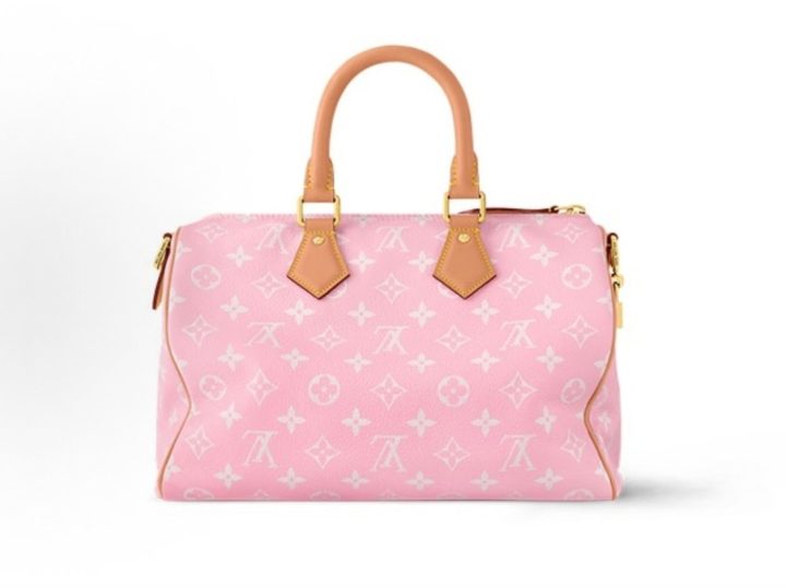 Louis Vuitton Speedy &middot; 4