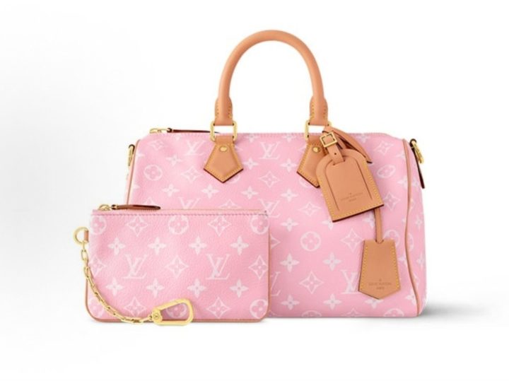 Louis Vuitton Speedy &middot; 2