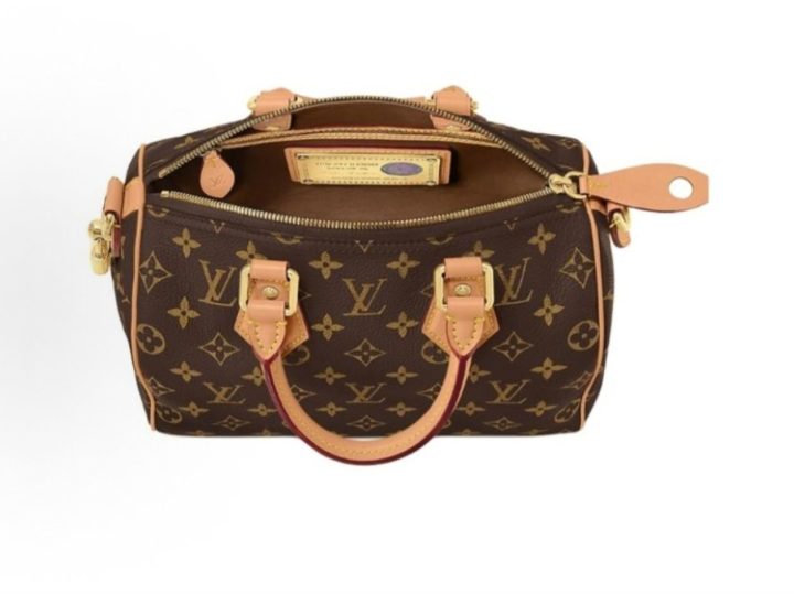 Louis Vuitton Speedy 25 &middot; 5