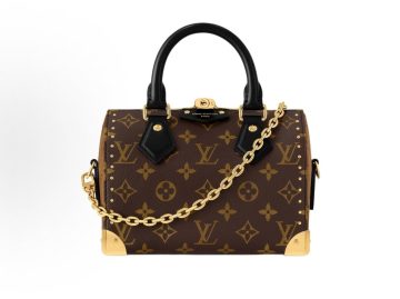 LOUIS VUITTON SpeedyTrunk 20 Cruise2025 早春秀场款