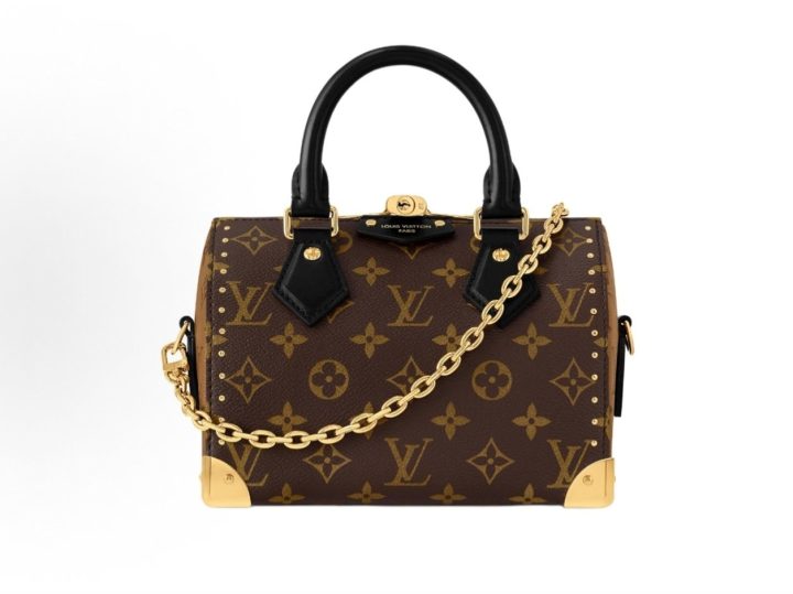 LOUIS VUITTON SpeedyTrunk 20 Cruise2025 早春秀场款 &middot; 1