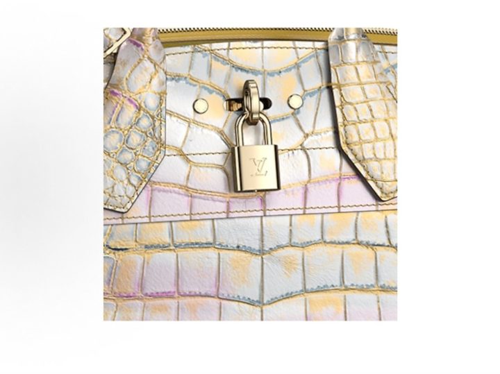 Louis Vuitton City Steamer 小号特殊皮革手袋 &middot; 5