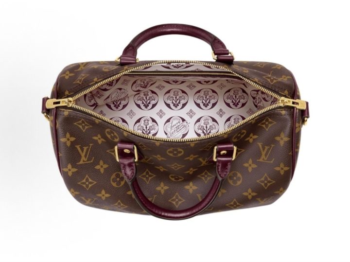 Louis Vuitton Speedy 30 Soft Celebration 老花手袋 &middot; 4