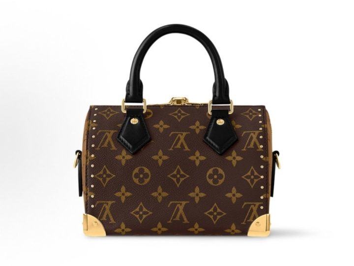 LOUIS VUITTON SpeedyTrunk 20 Cruise2025 早春秀场款 &middot; 4
