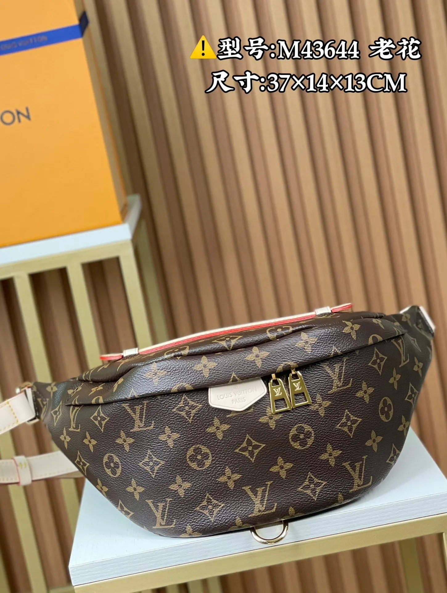 Monogram Belt Bag Classic Casual