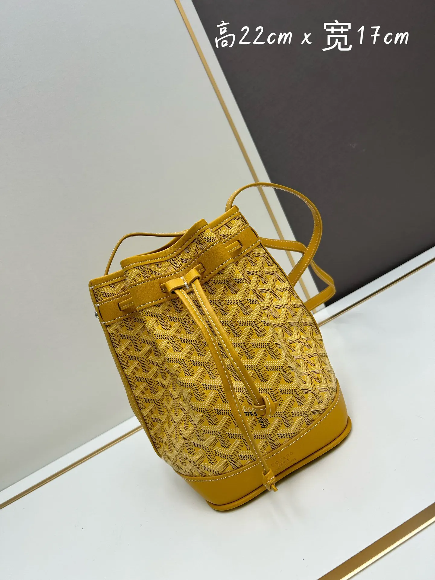 Goyard Bucket Bag Casual