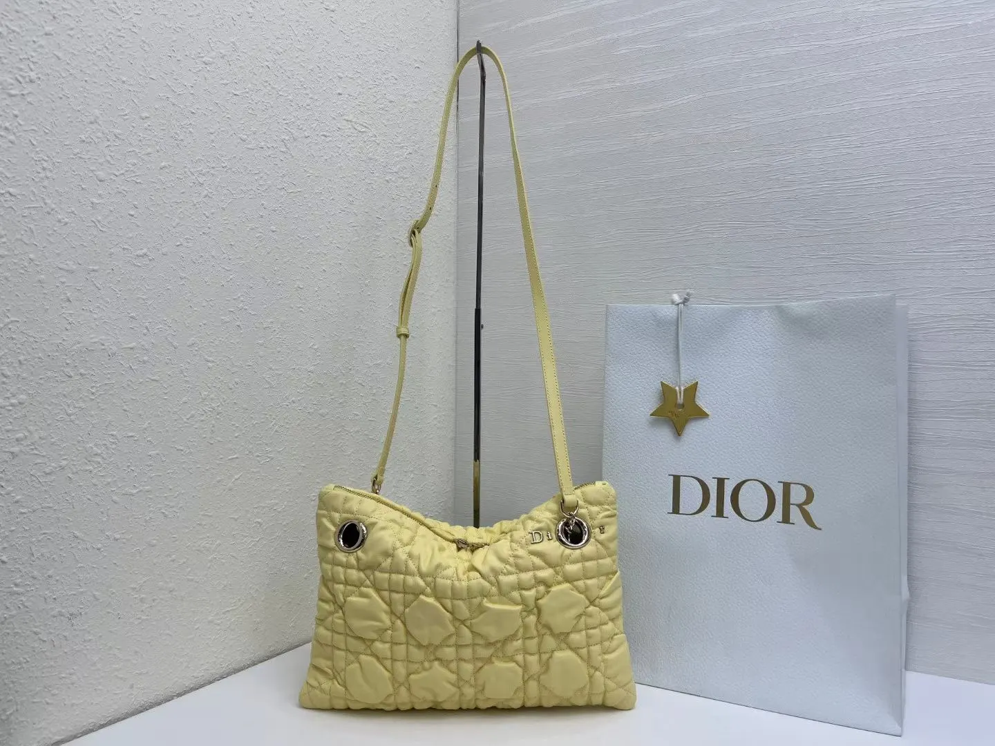 Dior Chain Bag Classic