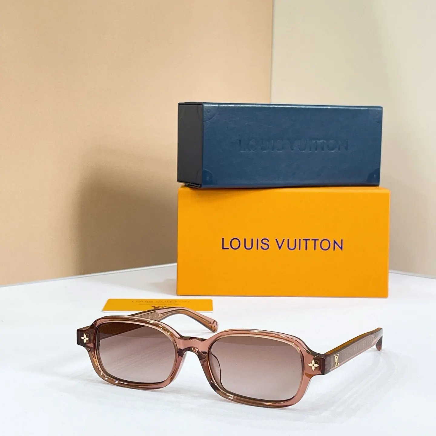 Louis Vuitton Fashion Item Fashion