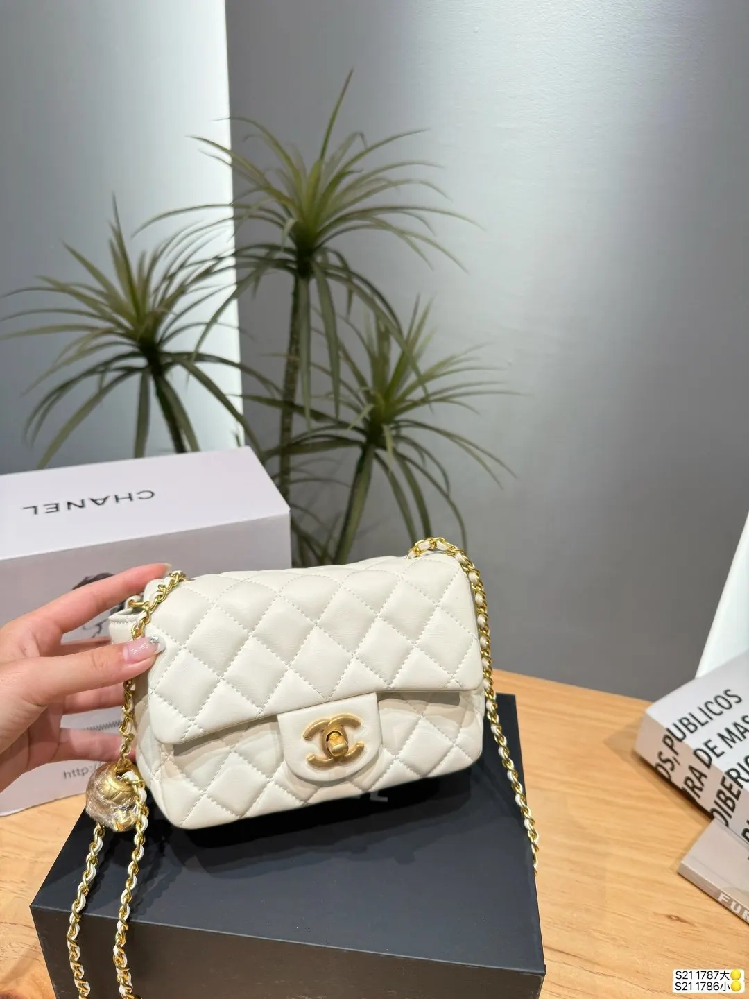 Chanel Chain Bag