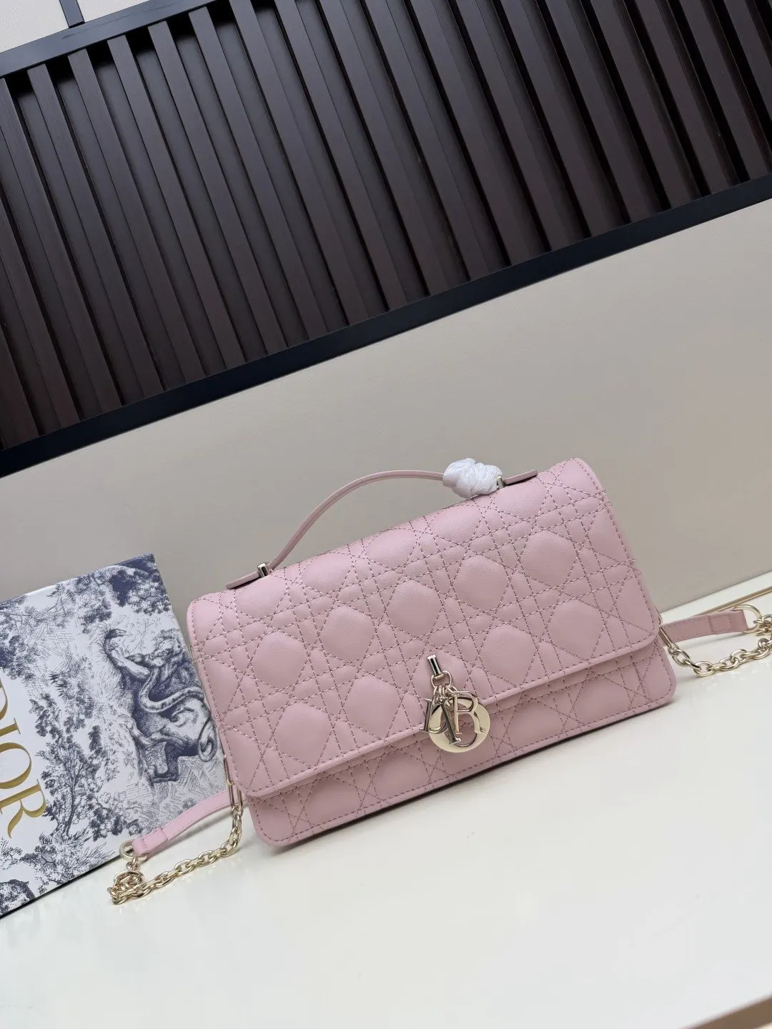 Dior 羊皮 手拿包 精致手拿款