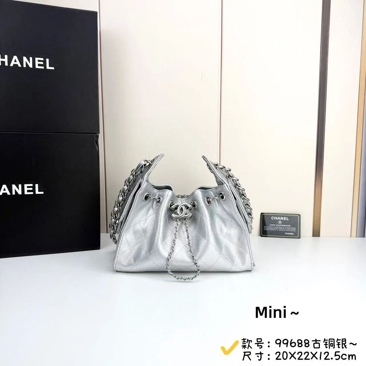 CHANEL 銀色 包袋 精選款