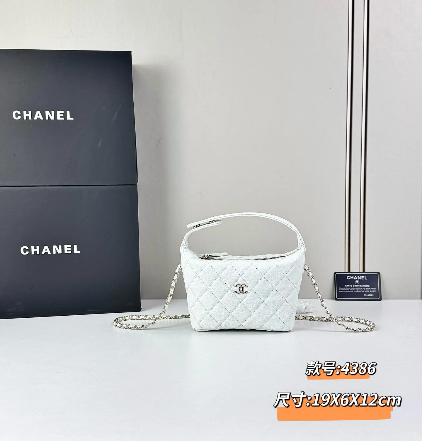 Chanel Chain Bag