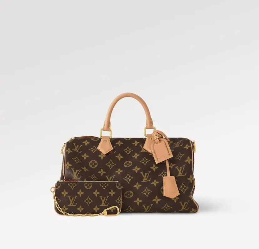 LV handbag