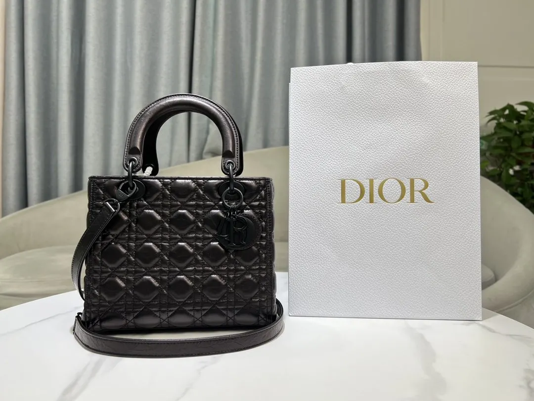 Dior 黑色 进口 油蜡皮戴妃包 五格 油蜡皮戴妃 收納包 旅行收納款