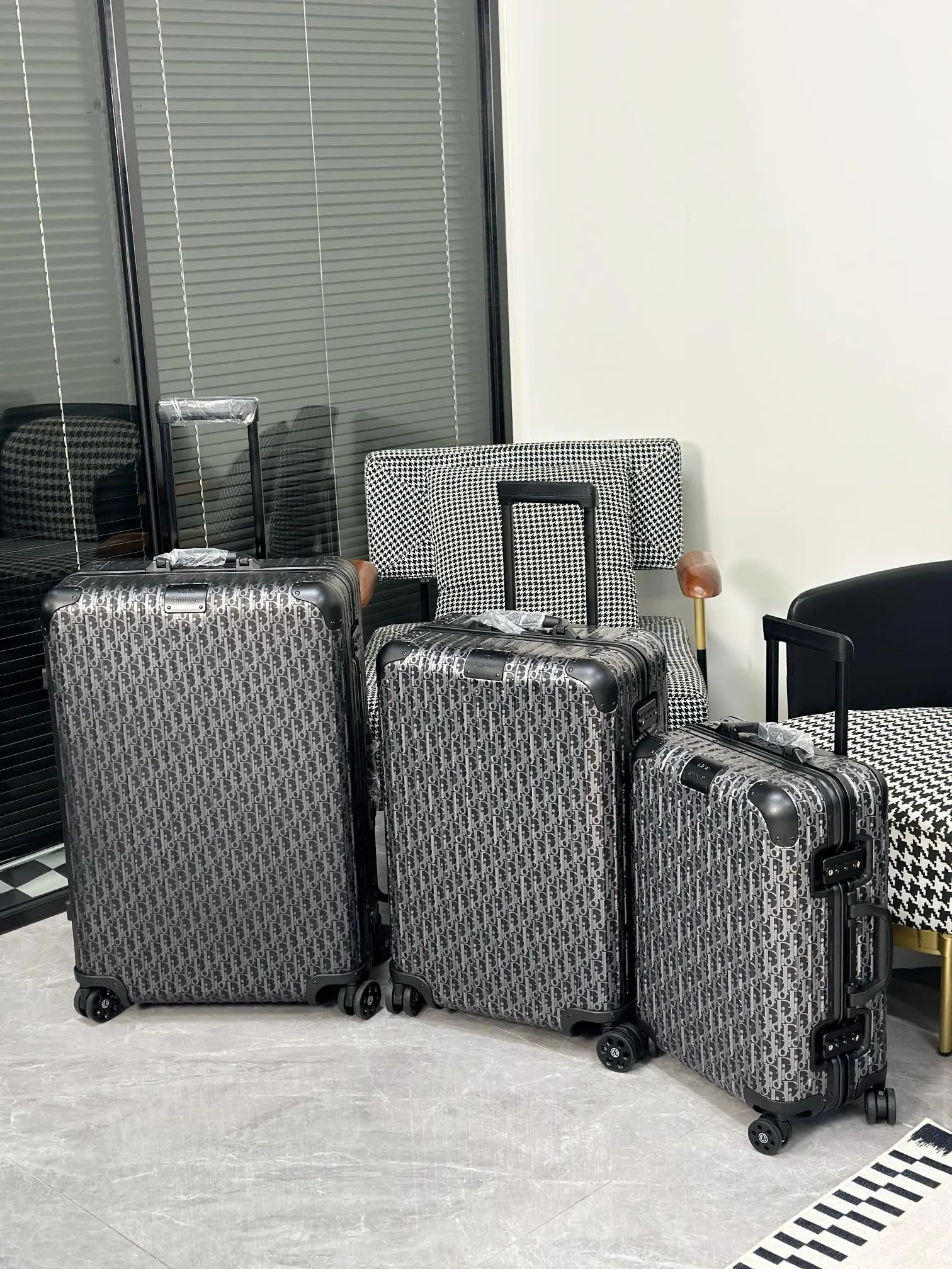 年巴黎春夏 发布会上 Dio Ri 行李箱 旅行拉杆款 轻便出行款