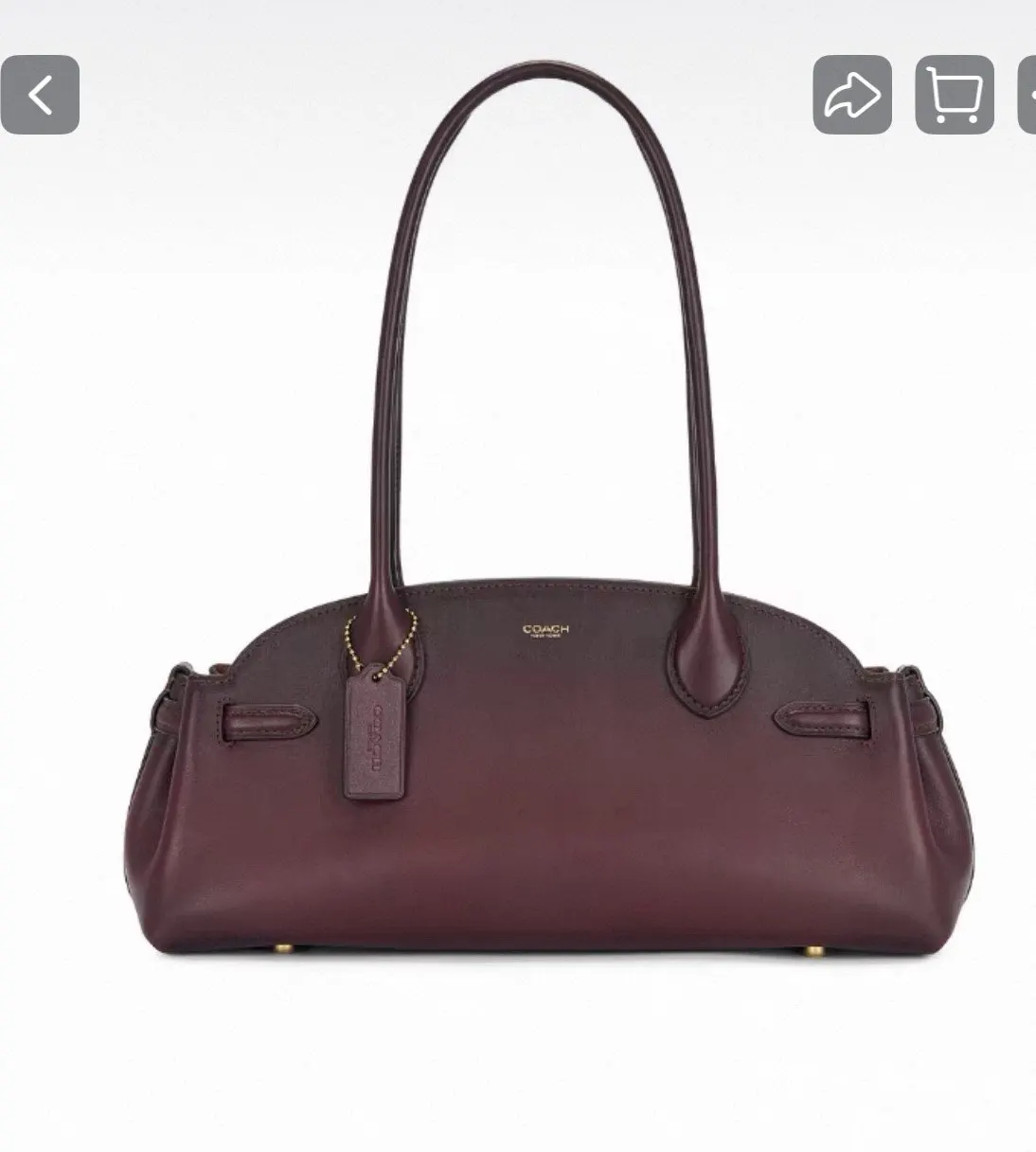 Coach CarryAll 單肩包 日常單肩背款