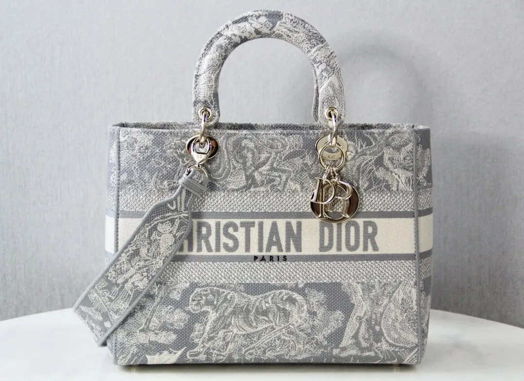Dior 灰色 金色 斜背包 輕便斜挎款